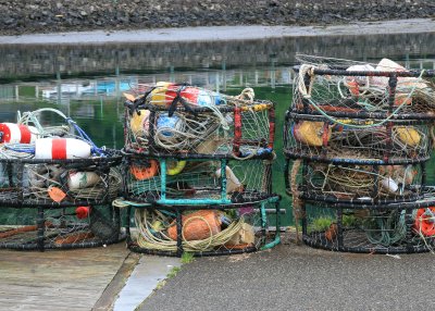 Lots of buoys!