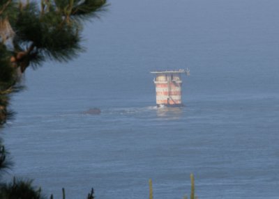 Mile Rock lighthouse in the bay