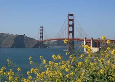 Golden Gate Bridge from bunkers above Baker Beach. (Love this picture, but don't love the poison oak I got from taking it!!)