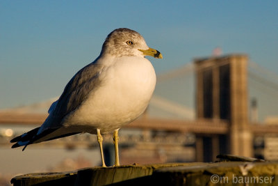 Sittin' on the dock of the river