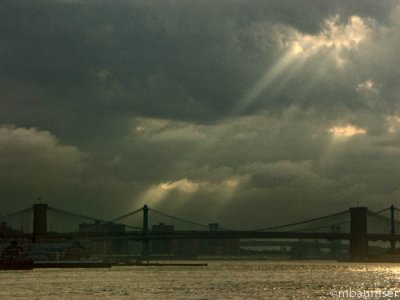 Ray of New York Light