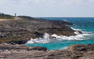 Rocky Shore