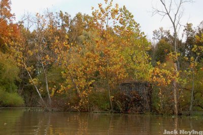 Well hidden duck blind