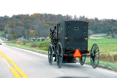Amish Buggy on the Highway.