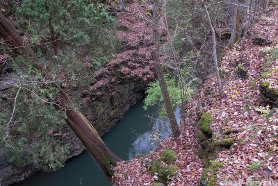 Looking deep into the Clifton Gorge