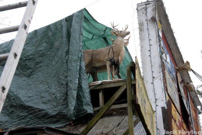 Santa's reindeer are ready to go