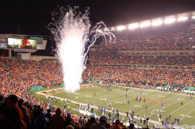 The Bengals take the field