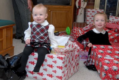 Macey just loved sitting on the boxes