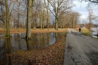 Flooded area at Lake Loramie