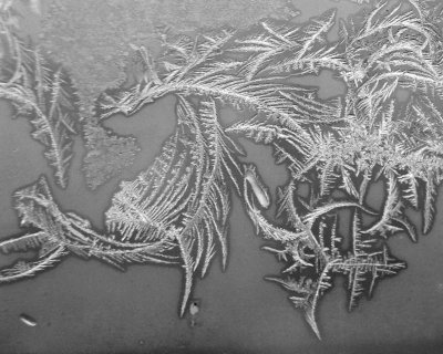 Frost Patterns