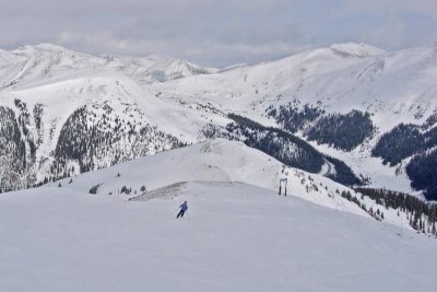 Above the tree line