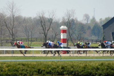 On the back stretch