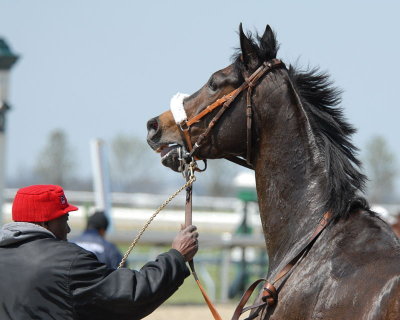 Cool down for a race winner