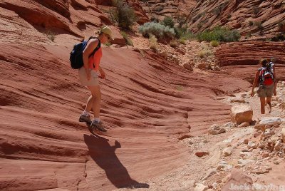 Wave shapped rock