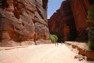 A sunny area of the trail