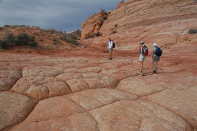 Interesting type of rock