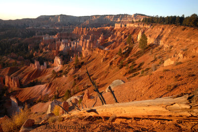 First Light in Bryce Canyon