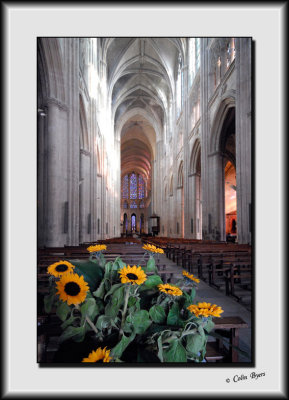 Cathedral de Tours_DS26352.jpg
