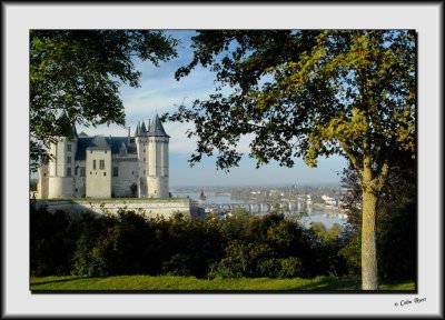 Chateau de Saumur_DS26205.jpg