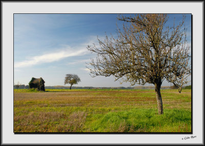 Loire Farmland in Autumn_DS26521.jpg