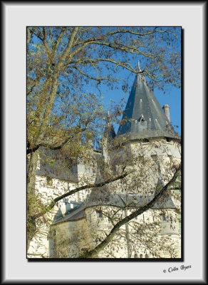 Saumur Chateau_DS26234.jpg