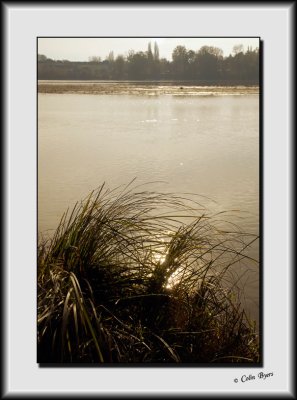 The River Loire_DS26538.jpg