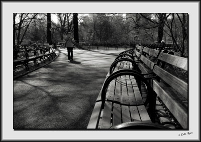 A Walk in Central Park_DS27325-bw.jpg