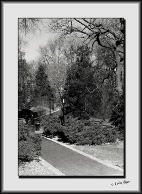 A Walk in Central Park_DS27329-bw.jpg