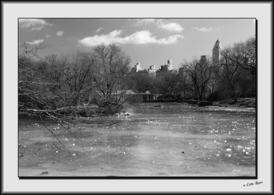 A Walk in Central Park_DS27339-bw.jpg
