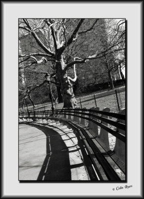 A Walk in Central Park_DS27355-bw.jpg