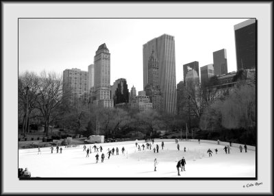 A Walk in Central Park_DS28018-bw.jpg