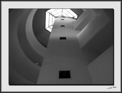 Architecture & Sights - Guggenheim_DS27377-bw.jpg