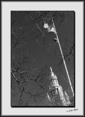 Architecture & Sights_DS27484-bw.jpg