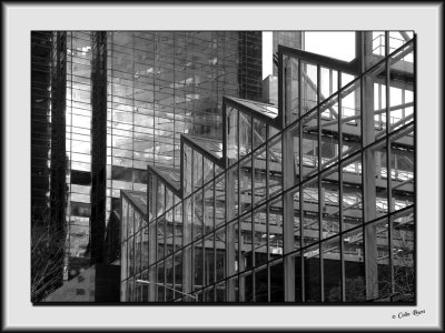 Architecture & Sights_DS27711-bw.jpg