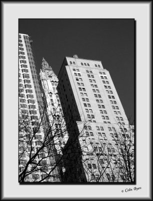Architecture & Sights_DS27893-bw.jpg