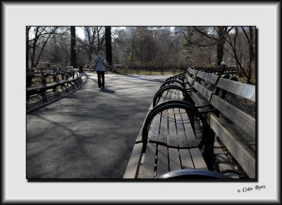 A Walk in Central Park_DS27325.jpg