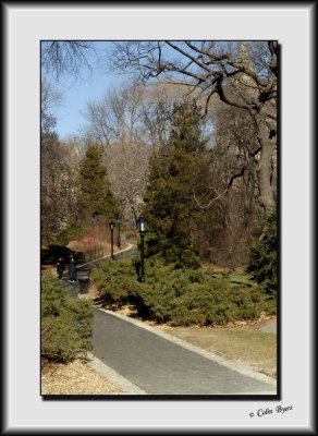 A Walk in Central Park_DS27329.jpg
