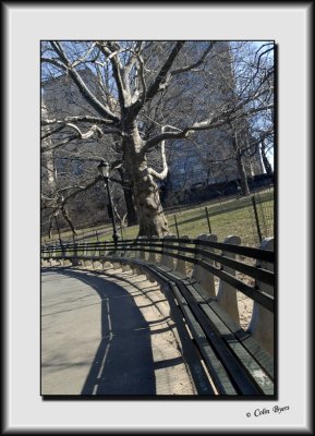 A Walk in Central Park_DS27355.jpg