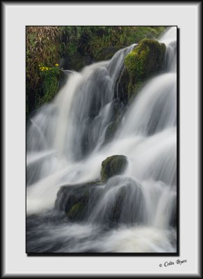 Splash of Colour - Skye_DS29897.jpg