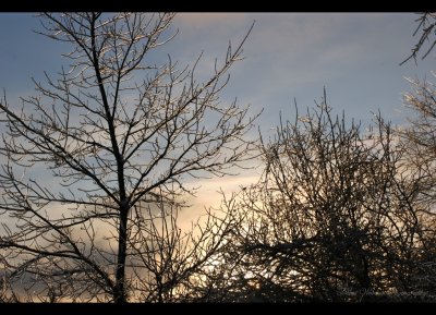 g6/20/531020/3/73765317.CT5nFaAv.jpg