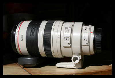 EF 100-400L IS USM