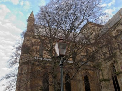 CRW_8806.jpg