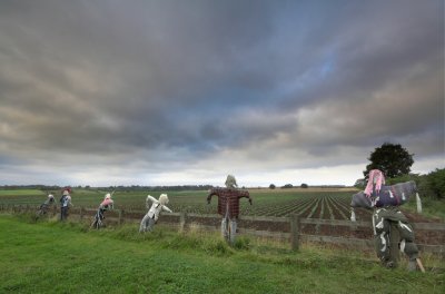 Skidby scarecrows 2.jpg