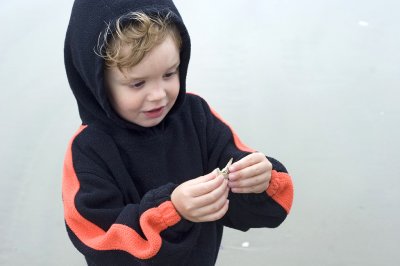 004003840img_1114tofino2.jpg