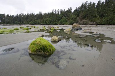 006105761img_1313tofino.jpg