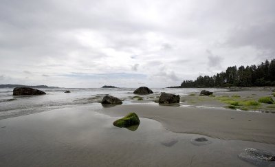 006205862img_1316tofino.jpg