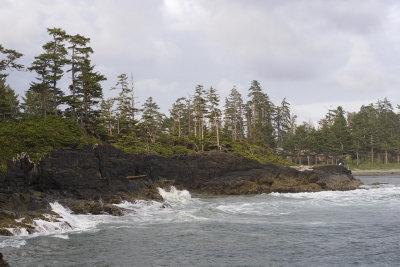 007707377img_1529tofino.jpg