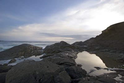 008107781img_1587tofino.jpg