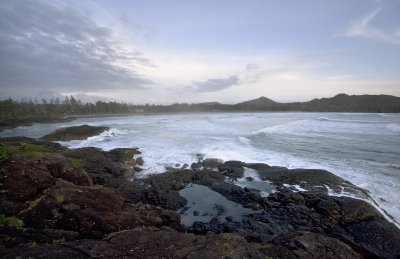 008207882img_1631tofino.jpg