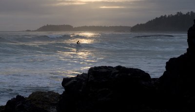 008408084img_1743tofino.jpg